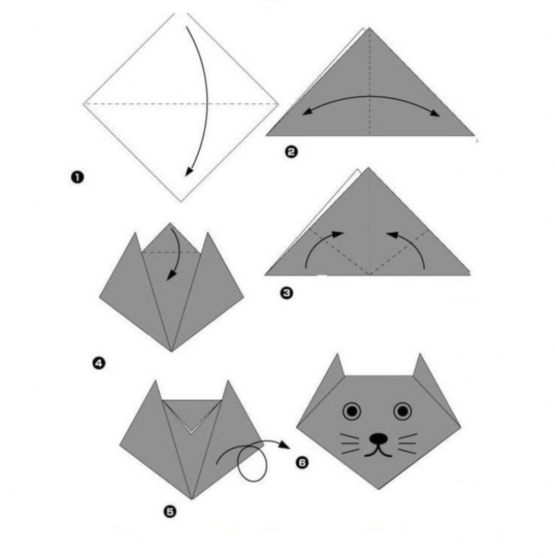 Katze